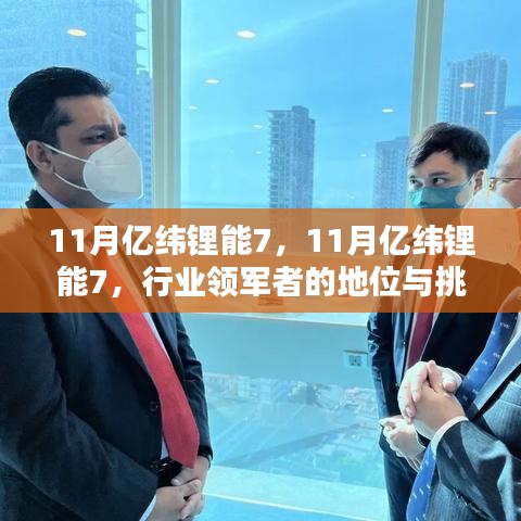 亿纬锂能行业领军地位面临挑战，11月市场观察与行业分析