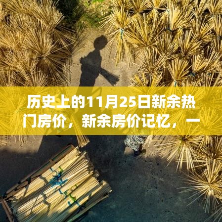 温馨秋日里的房价记忆，历史上的新余房价变迁 11月25日的热门房价回顾