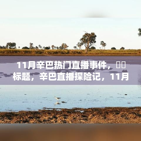 淡泊以明志，宁静以致远 第4页