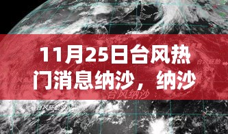 台风纳沙全面评测，特性、体验、竞品对比及用户群体深度分析，最新消息汇总