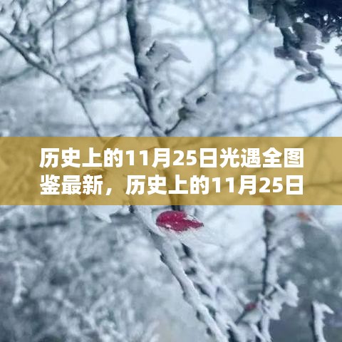 历史上的11月25日光遇全图鉴最新篇章探索