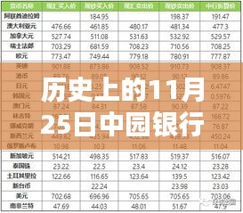 揭秘，历史上的11月25日中园银行最新外汇牌价与汇率波动背后的故事