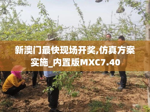 新澳门最快现场开奖,仿真方案实施_内置版MXC7.40