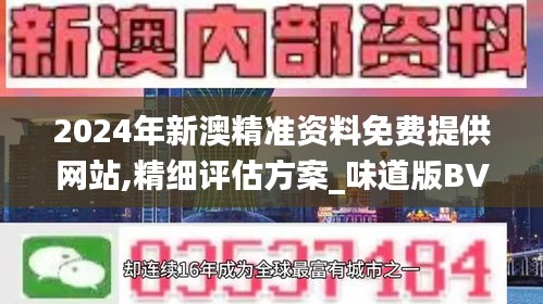 2024年新澳精准资料免费提供网站,精细评估方案_味道版BVV7.91