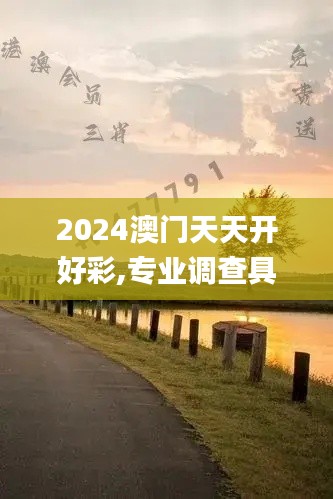 2024澳门天天开好彩,专业调查具体解析_无线版GFX7.4