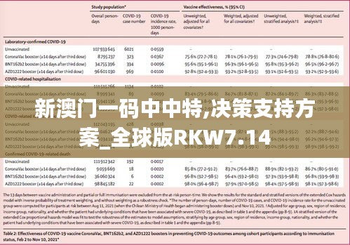 新澳门一码中中特,决策支持方案_全球版RKW7.14