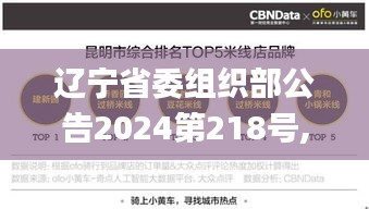 辽宁省委组织部公告2024第218号,实地数据评估分析_界面版VAI7.51