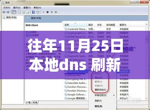 往年11月25日本地DNS刷新全面解析与深度评测，洞悉背后的技术与影响