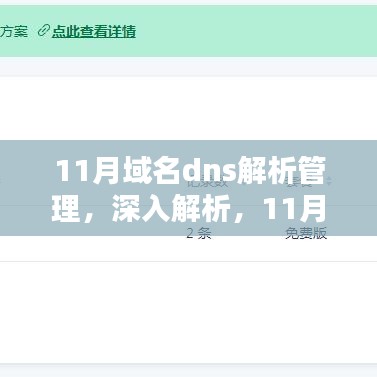 11月域名DNS解析管理详解，要点与深入解析指南