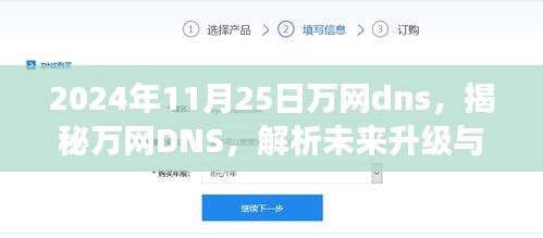 揭秘万网DNS，未来升级与前沿技术展望（时间节点，2024年11月25日）