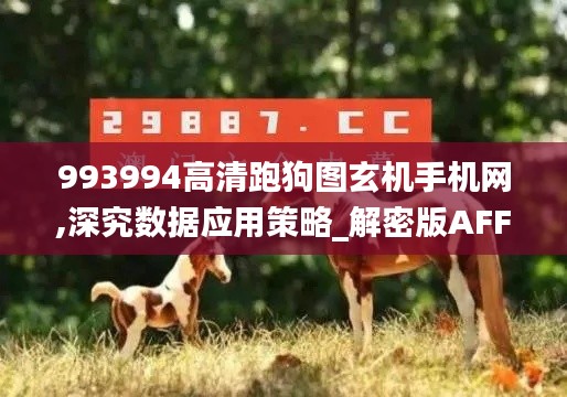 993994高清跑狗图玄机手机网,深究数据应用策略_解密版AFF13.43