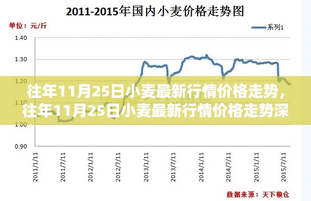 往年11月25日小麦行情深度解析，价格走势、评测与介绍