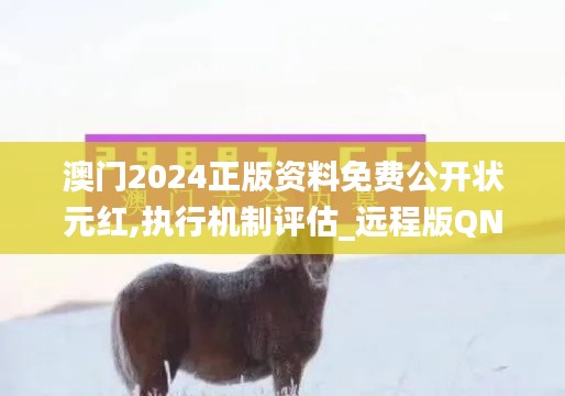 澳门2024正版资料免费公开状元红,执行机制评估_远程版QND13.5