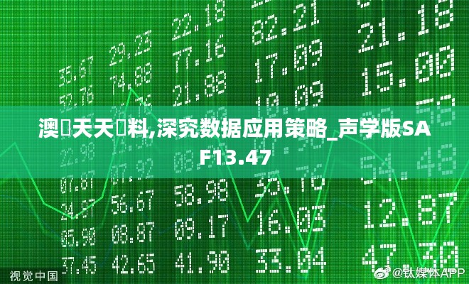 澳門天天資料,深究数据应用策略_声学版SAF13.47