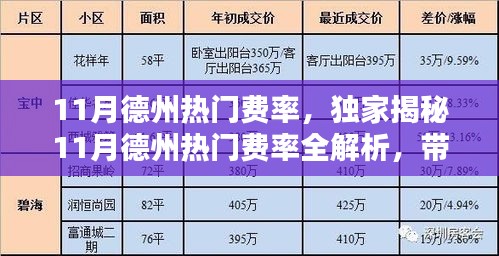 独家揭秘，11月德州热门费率全解析，引领德州扑克新篇章！