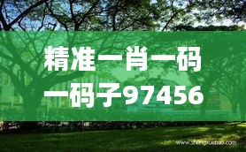 精准一肖一码一码子97456,动态解读分析_多元文化版ZEG13.44