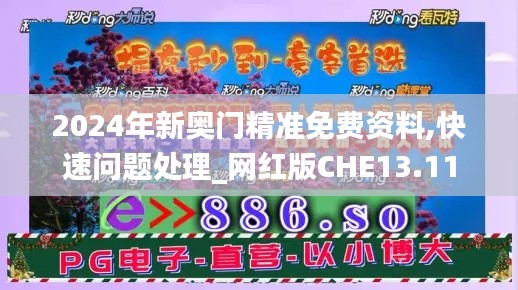 2024年新奥门精准免费资料,快速问题处理_网红版CHE13.11