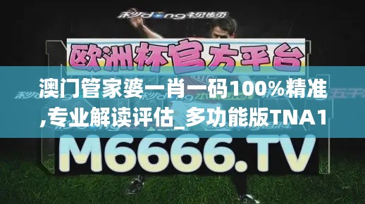 澳门管家婆一肖一码100%精准,专业解读评估_多功能版TNA13.57