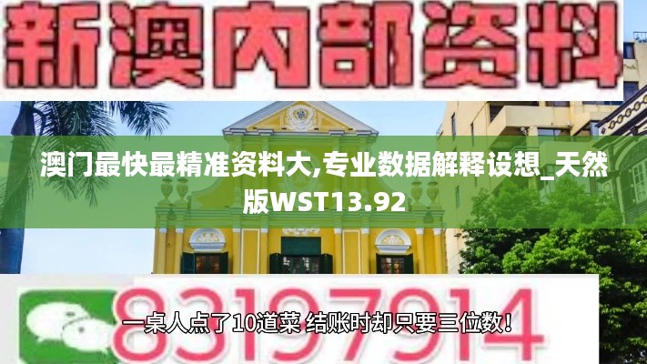 澳门最快最精准资料大,专业数据解释设想_天然版WST13.92