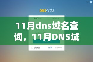 11月DNS域名新纪元，重新定义域名查询体验，探索前沿科技