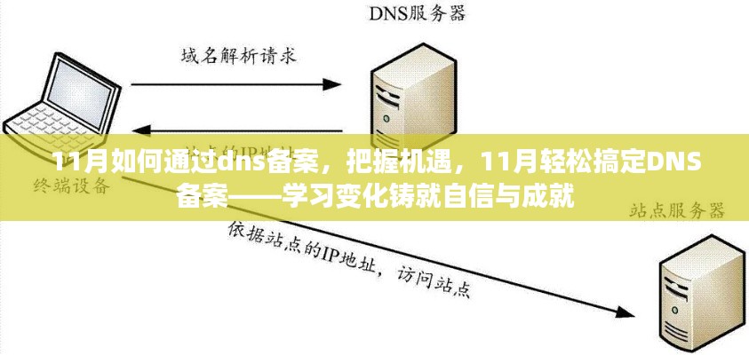 把握机遇，轻松搞定DNS备案，学习变化铸就自信与成就，11月实操指南