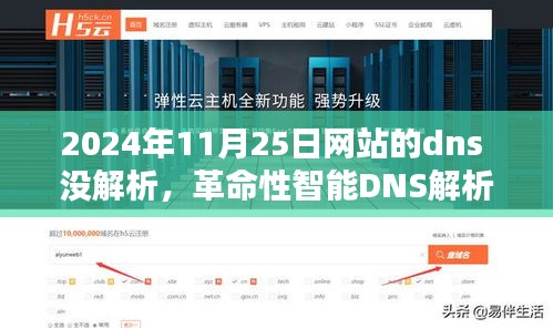 革命性智能DNS解析技术助力未来网站访问体验提升（2024年11月25日网站DNS解析技术更新）