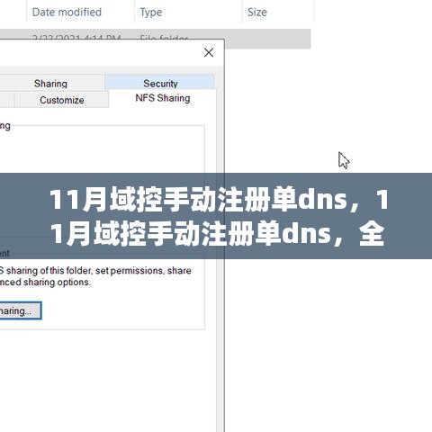 全面评测与介绍，11月域控手动注册单dns指南