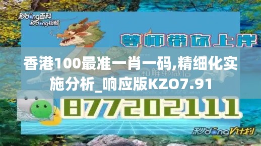 香港100最准一肖一码,精细化实施分析_响应版KZO7.91