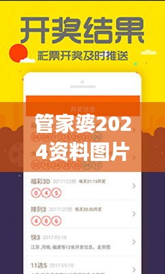 管家婆2024资料图片大全,解析解释说法_DIY工具版VNY7.19