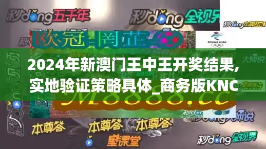 2024年新澳门王中王开奖结果,实地验证策略具体_商务版KNC7.87