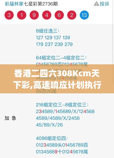 香港二四六308Kcm天下彩,高速响应计划执行_电影版TNH7.49