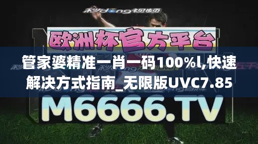 管家婆精准一肖一码100%l,快速解决方式指南_无限版UVC7.85