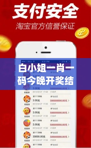 白小姐一肖一码今晚开奖结果,高速响应计划执行_实用版UFT13.89