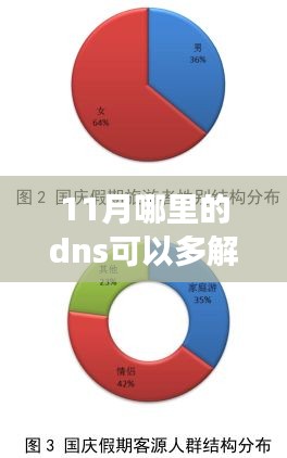 十一月，携手共探奇妙DNS解析之旅