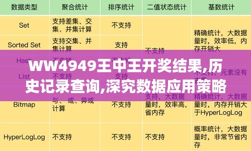 WW4949王中王开奖结果,历史记录查询,深究数据应用策略_生态版XDU14.63