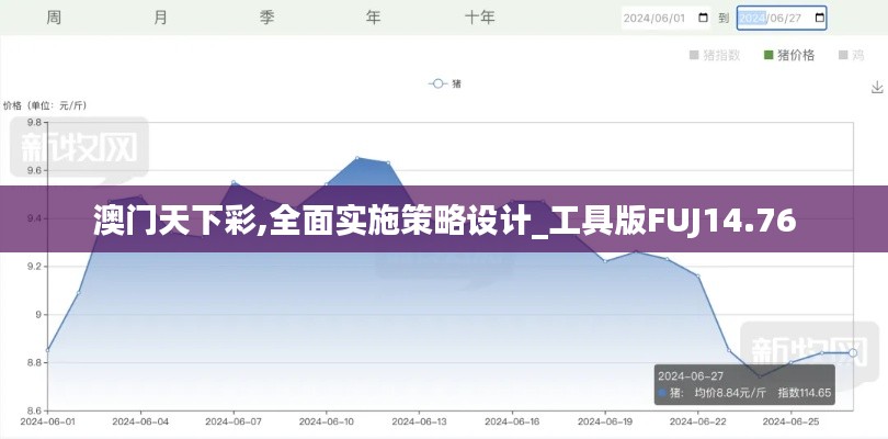 澳门天下彩,全面实施策略设计_工具版FUJ14.76