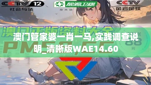 澳门管家婆一肖一马,实践调查说明_清晰版WAE14.60