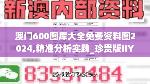 澳门600图库大全免费资料图2024,精准分析实践_珍贵版IIY14.46