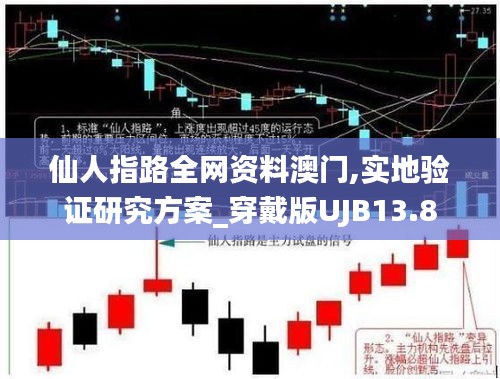 仙人指路全网资料澳门,实地验证研究方案_穿戴版UJB13.8