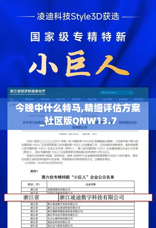 今晚中什么特马,精细评估方案_社区版QNW13.7