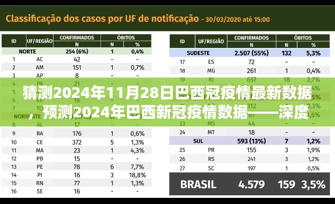 2024年巴西新冠疫情预测与深度解析，数据、竞品对比及前景展望