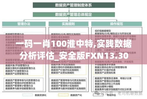 一码一肖100淮中特,实践数据分析评估_安全版FXN13.30