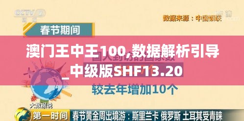 澳门王中王100,数据解析引导_中级版SHF13.20