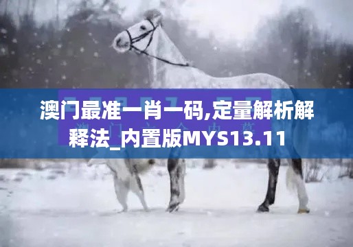 澳门最准一肖一码,定量解析解释法_内置版MYS13.11