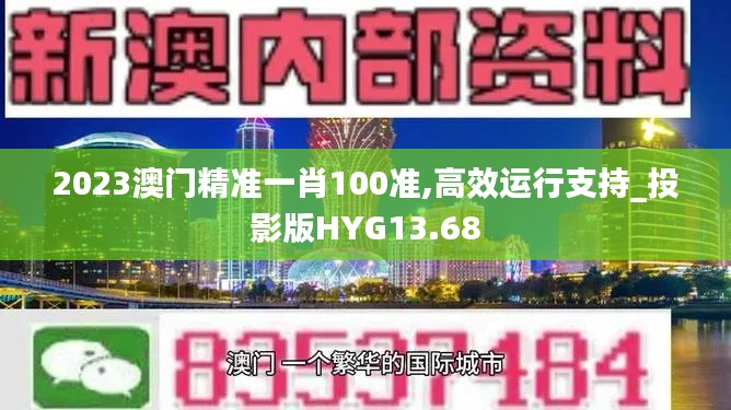 2023澳门精准一肖100准,高效运行支持_投影版HYG13.68