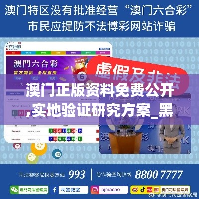 澳门正版资料免费公开,实地验证研究方案_黑科技版CYK13.11