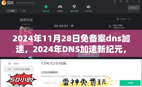 2024年免备案DNS加速时代来临，开启极速网络体验新纪元