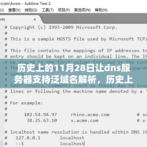 历史上的里程碑，泛域名解析与DNS服务器的革新之路——历史上的11月28日泛域名解析支持时刻回顾