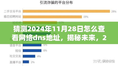 揭秘未来网络技术，如何轻松查看网络DNS地址（预测至2024年11月28日）