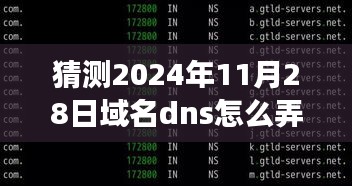 掌握未来密钥，揭秘域名DNS创新之路与预测学习之旅（2024年展望）